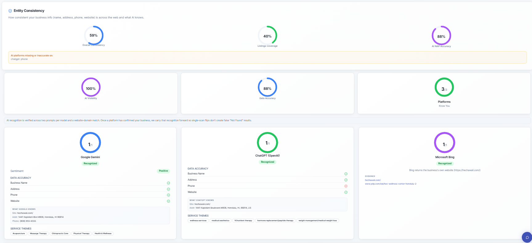 Entity consistency panel showing HEC Wellness Center recognized by Google Gemini, ChatGPT, and Microsoft Bing